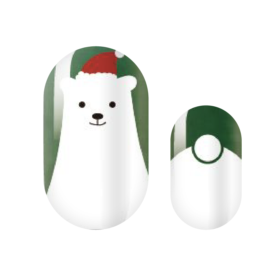 The Little Polar Bear