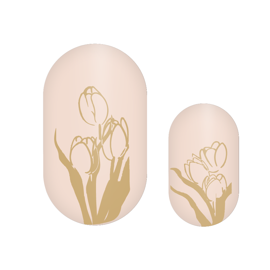 Tulpe - Gold