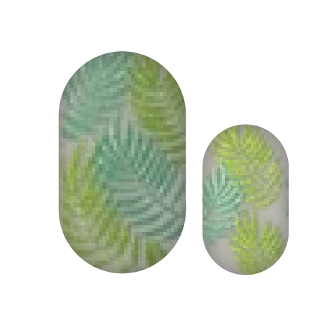 Palm tree (transparent)