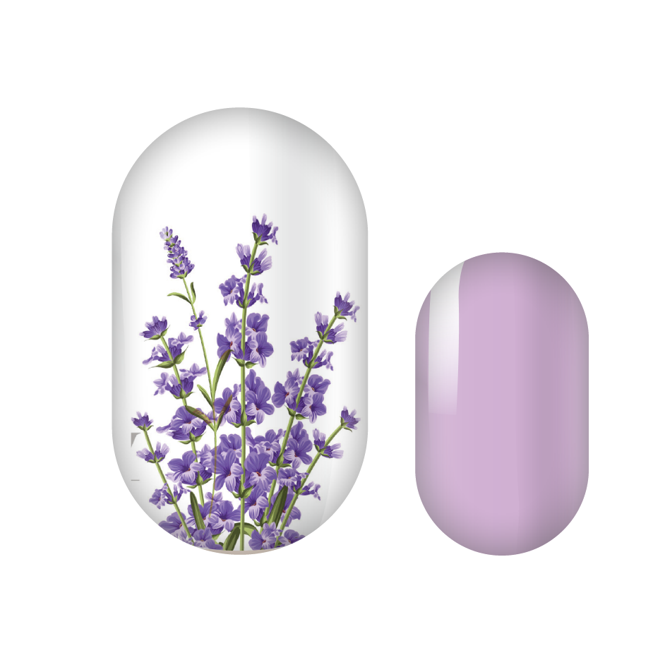 Lavender