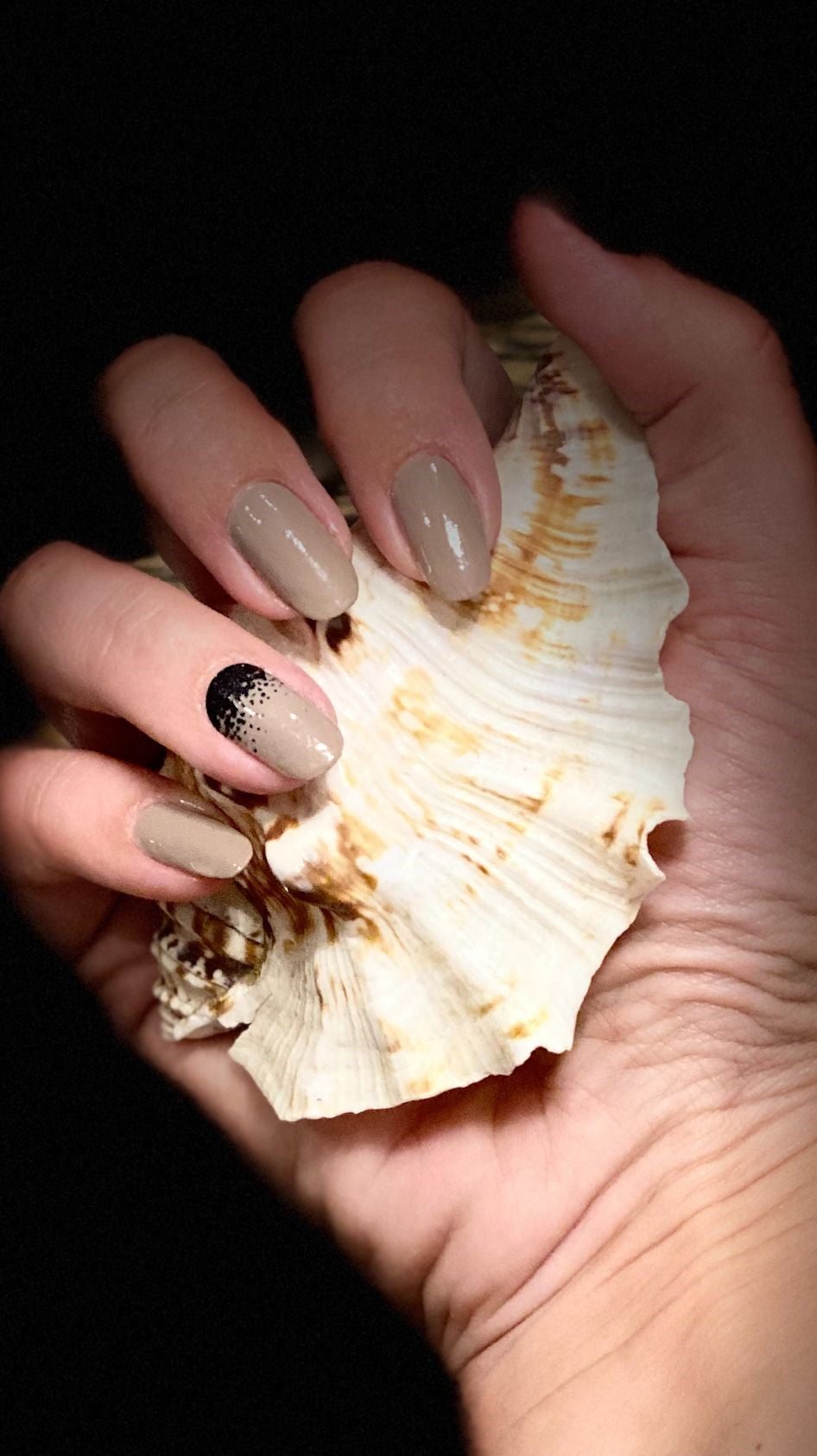 Cruella (transparent)