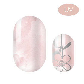UV - Beauty (16er)