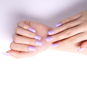 UV - Lavendel (16er)